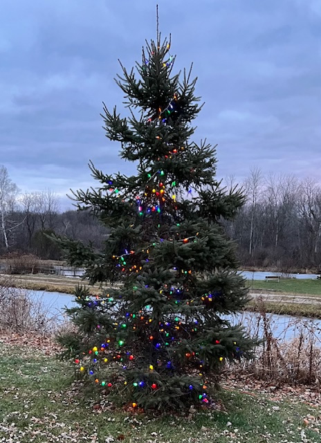 https://www.dundeemill.org/pictures/2023/20 lit tree.jpg
